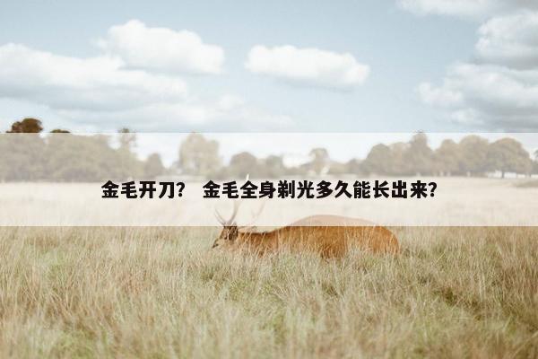金毛开刀? 金毛全身剃光多久能长出来?