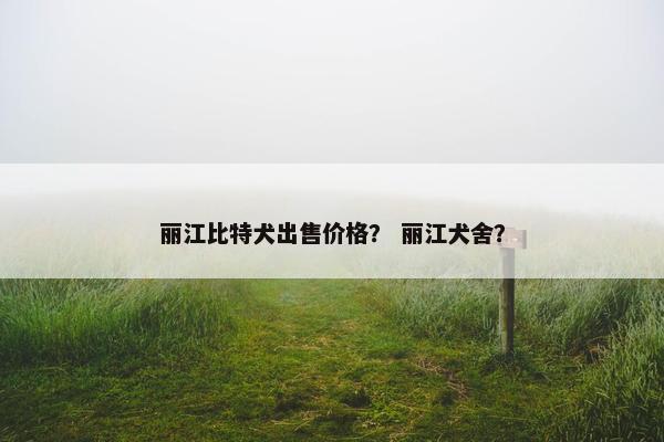 丽江比特犬出售价格? 丽江犬舍?