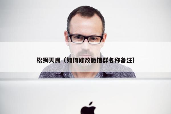 松狮天赐(如何修改微信群名称备注)