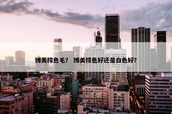 博美棕色毛? 博美棕色好还是白色好?