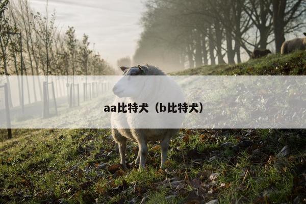 aa比特犬(b比特犬)
