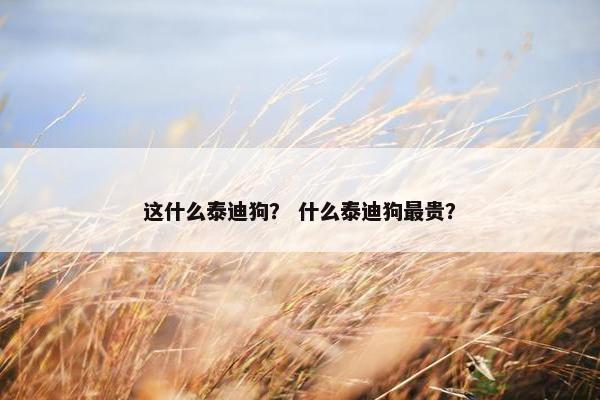 这什么泰迪狗? 什么泰迪狗最贵?