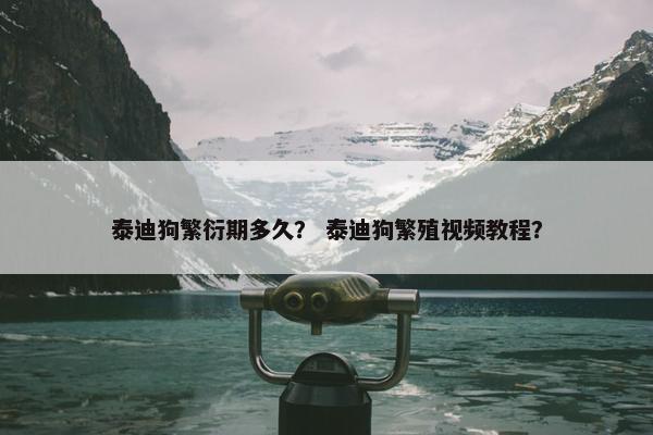 泰迪狗繁衍期多久？ 泰迪狗繁殖视频教程？