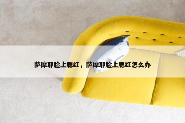 萨摩耶脸上腮红，萨摩耶脸上腮红怎么办