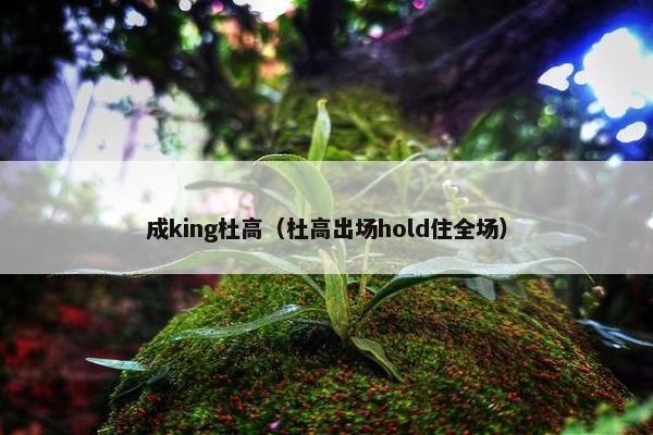 成king杜高（杜高出场hold住全场）