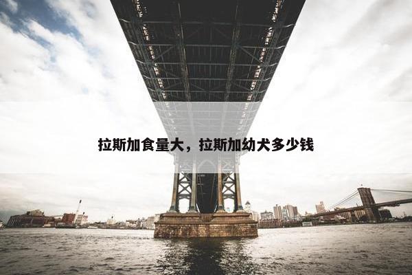 拉斯加食量大，拉斯加幼犬多少钱