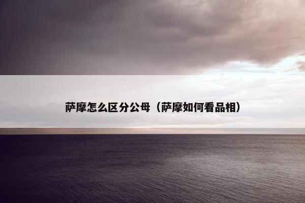 萨摩怎么区分公母（萨摩如何看品相）