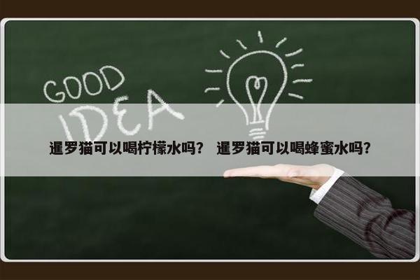 暹罗猫可以喝柠檬水吗？ 暹罗猫可以喝蜂蜜水吗？