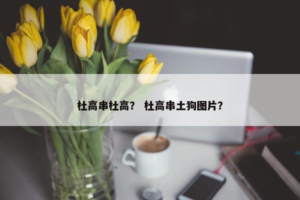 杜高串杜高? 杜高串土狗图片?