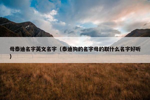 母泰迪名字英文名字(泰迪狗的名字母的取什么名字好听)