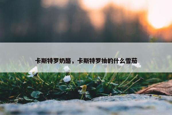 卡斯特罗奶酪,卡斯特罗抽的什么雪茄 卡斯特罗奶酪,卡斯特罗抽的什么雪茄