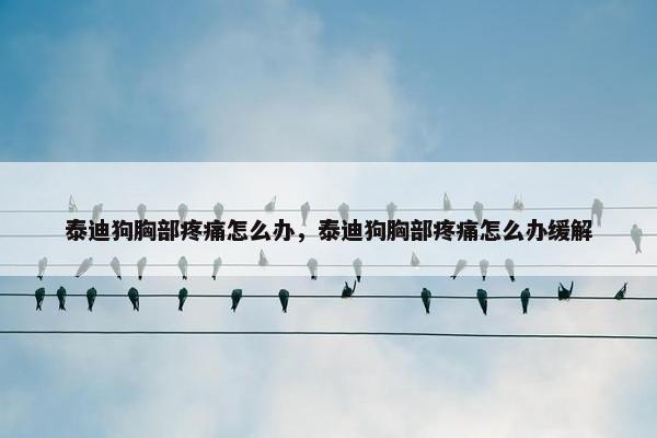 泰迪狗胸部疼痛怎么办,泰迪狗胸部疼痛怎么办缓解