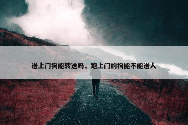 送上门狗能转送吗,跑上门的狗能不能送人