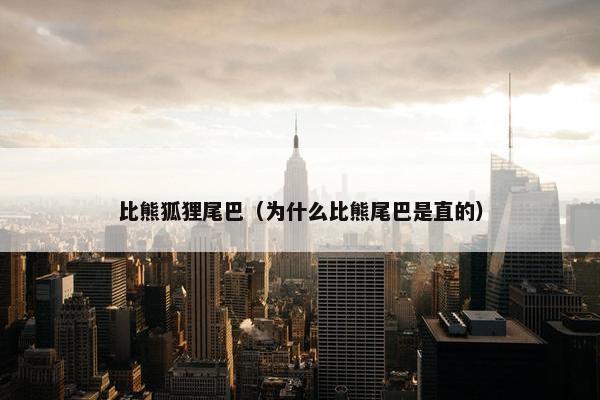 比熊狐狸尾巴(为什么比熊尾巴是直的)