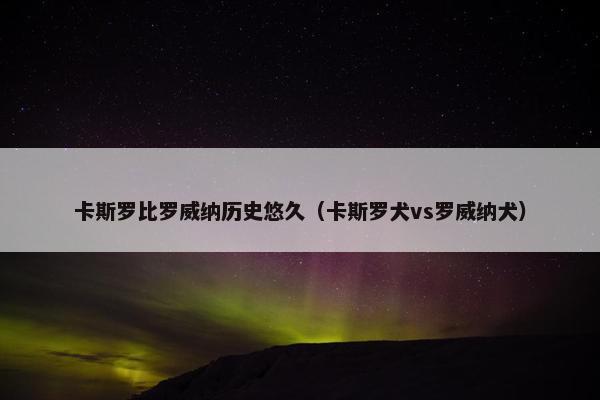 卡斯罗比罗威纳历史悠久(卡斯罗犬vs罗威纳犬)