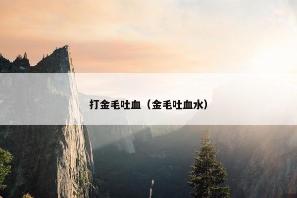 打金毛吐血(金毛吐血水)