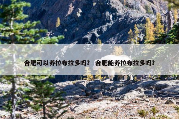 合肥可以养拉布拉多吗？ 合肥能养拉布拉多吗？