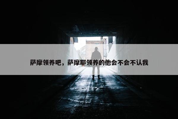 萨摩领养吧，萨摩耶领养的他会不会不认我
