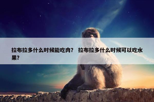 拉布拉多什么时候能吃肉? 拉布拉多什么时候可以吃水果?