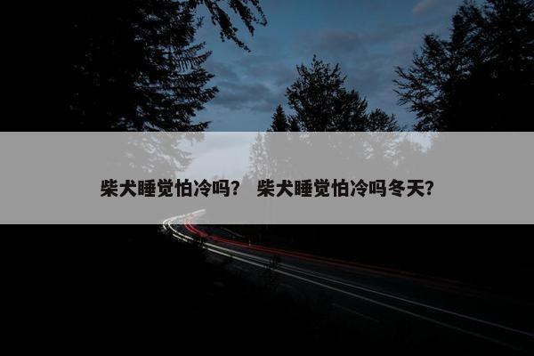 柴犬睡觉怕冷吗? 柴犬睡觉怕冷吗冬天?