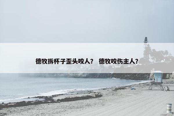 德牧拆杯子歪头咬人? 德牧咬伤主人?