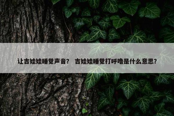 让吉娃娃睡觉声音? 吉娃娃睡觉打呼噜是什么意思?