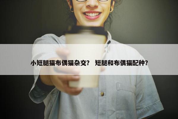 小短腿猫布偶猫杂交？ 短腿和布偶猫配种？