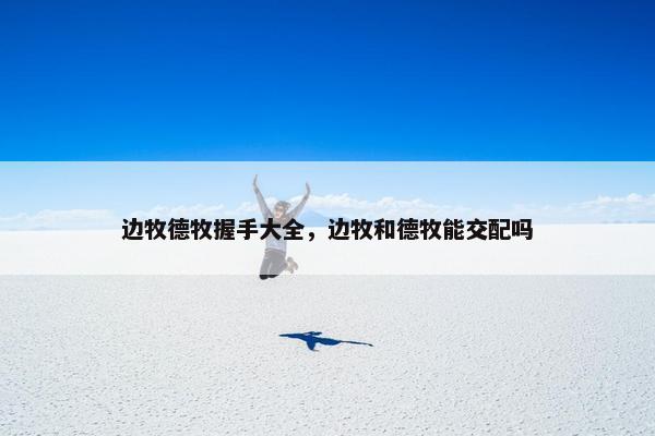 边牧德牧握手大全，边牧和德牧能交配吗