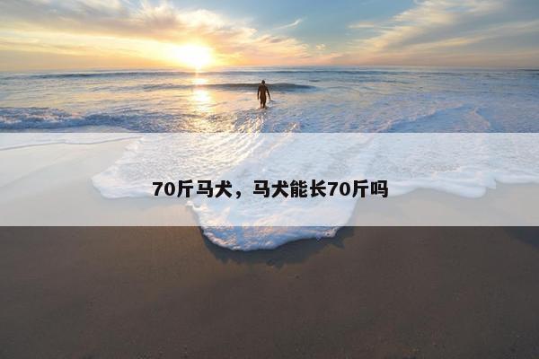 70斤马犬,马犬能长70斤吗