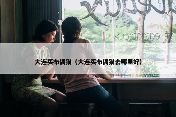 大连买布偶猫（大连买布偶猫去哪里好）