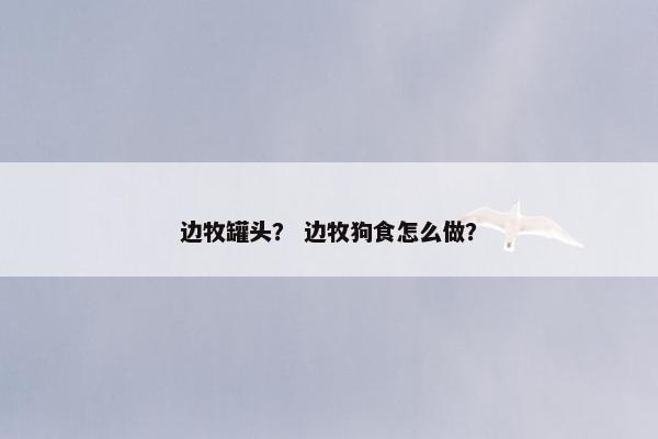 边牧罐头？ 边牧狗食怎么做？