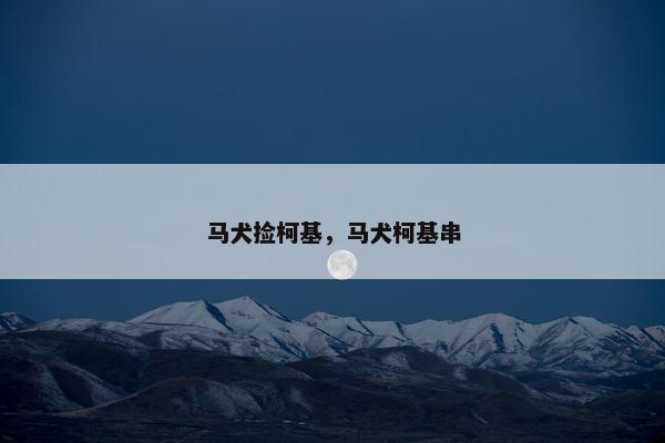 马犬捡柯基，马犬柯基串