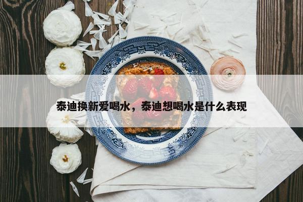 泰迪换新爱喝水，泰迪想喝水是什么表现