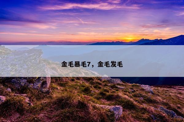金毛暴毛7，金毛发毛