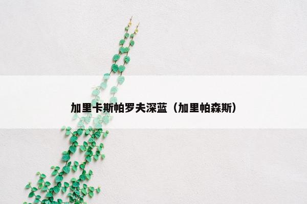 加里卡斯帕罗夫深蓝（加里帕森斯）