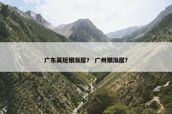 广东英短银渐层？ 广州银渐层？