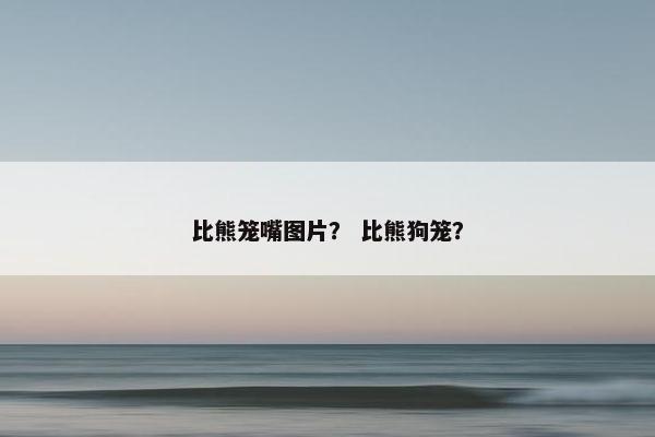 比熊笼嘴图片？ 比熊狗笼？