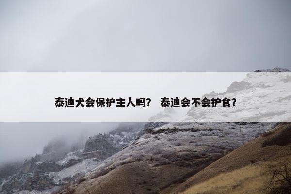 泰迪犬会保护主人吗? 泰迪会不会护食?
