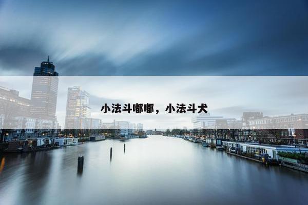 小法斗嘟嘟，小法斗犬