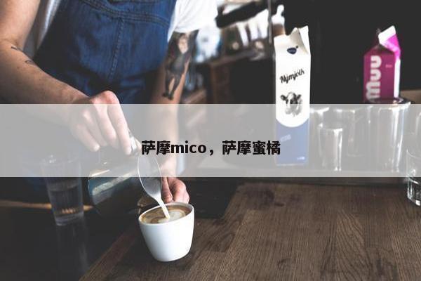 萨摩mico，萨摩蜜橘