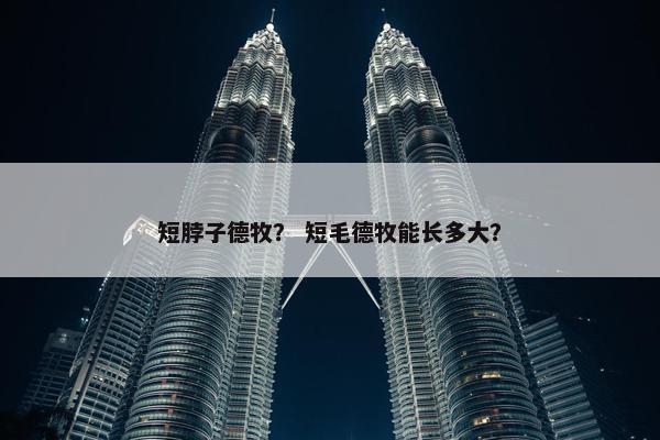 短脖子德牧？ 短毛德牧能长多大？