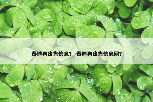泰迪狗出售信息？ 泰迪狗出售信息网？