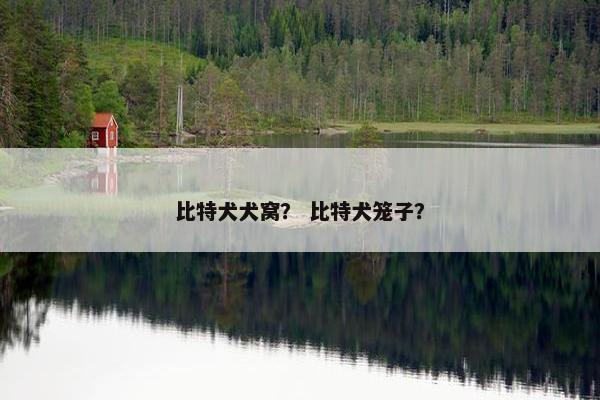 比特犬犬窝？ 比特犬笼子？