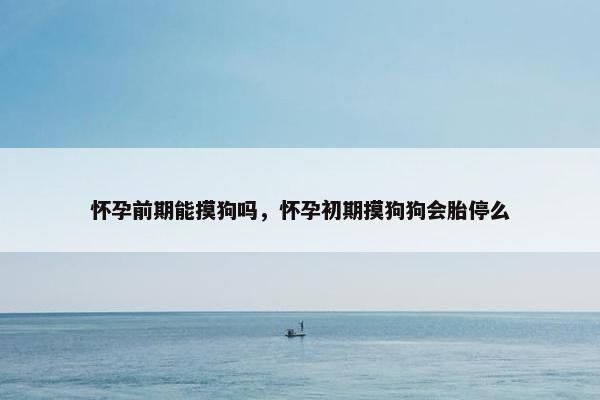 怀孕前期能摸狗吗，怀孕初期摸狗狗会胎停么