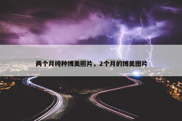 两个月纯种博美照片，2个月的博美图片