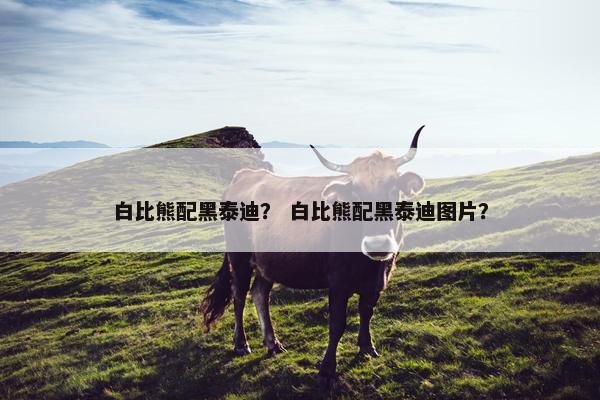 白比熊配黑泰迪？ 白比熊配黑泰迪图片？