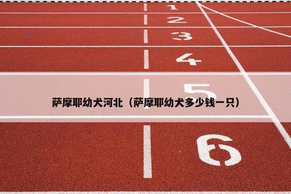 萨摩耶幼犬河北(萨摩耶幼犬多少钱一只)