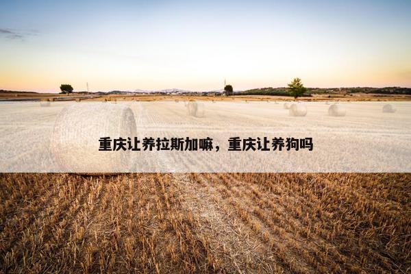 重庆让养拉斯加嘛，重庆让养狗吗