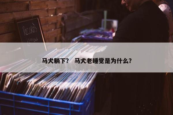 马犬躺下？ 马犬老睡觉是为什么？