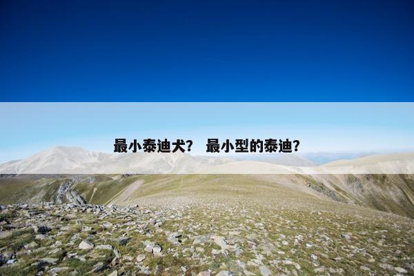 最小泰迪犬？ 最小型的泰迪？